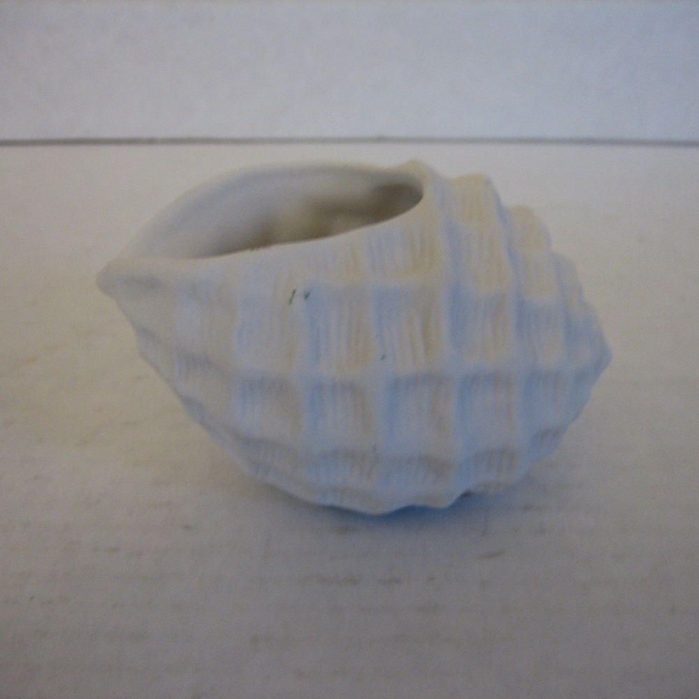 Illuminations Decor White Ceramic Conch Sea Shell